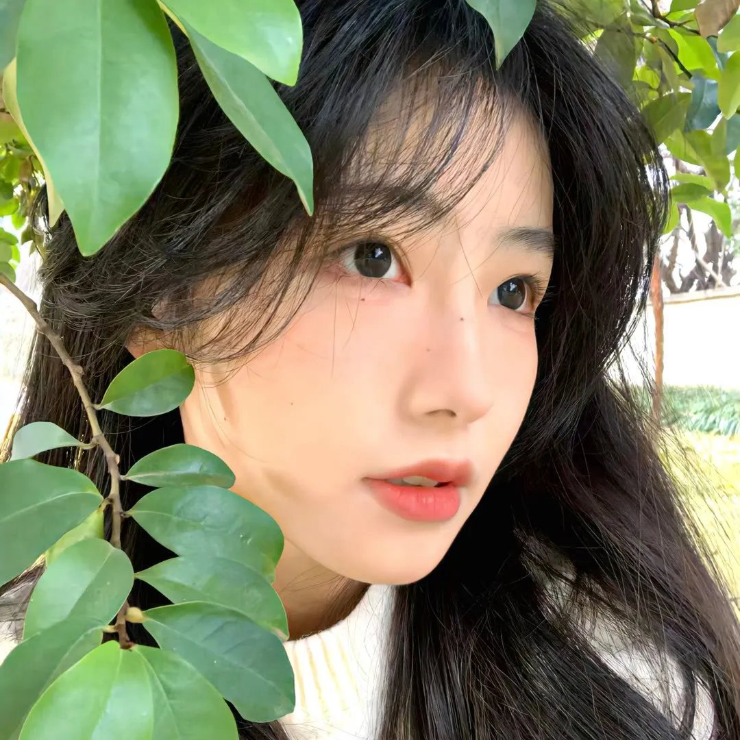 笑咖图鉴第二季